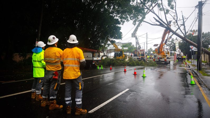 Les équipes d'Energex dégagent un arbre tombé après le passage du cyclone tropical Alfred à Brisbane, le 8 mars 2025. (PATRICK HAMILTON/AFP /AFP via Getty Images)