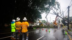 Tempête en Australie : deux camions militaires en mission entrent en collision, 36 blessés