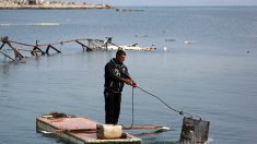 Gaza : sans bateau, les pêcheurs transforment des portes de frigo en paddles