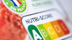 « Lutter contre le surpoids, l’obésité » : le nouveau Nutri-Score validé, après des dissensions gouvernementales