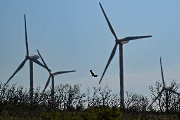 Un aigle serpentaire à pieds courts (Circaetus gallicus) vole à côté des générateurs d'éoliennes d'un parc éolien à Aumelas. (GABRIEL BOUYS/AFP via Getty Images)