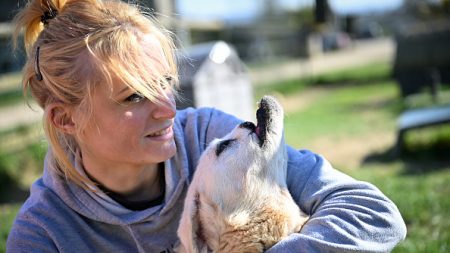 Normandie : un sanctuaire redonne une seconde vie aux animaux martyrisés