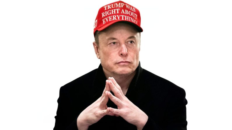 Elon Musk assiste à une réunion du Cabinet dans la salle du Cabinet de la Maison-Blanche, le 24 mars 2025. (Brendan SmialowskiI/AFP via Getty Images)