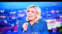 La condamnation de Marine Le Pen a fait réagir jusqu’à Washington et Elon Musk