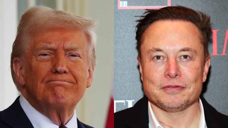 Donald Trump et Elon Musk. (Carl Court - Pool/Getty Images/Theo Wargo/Getty Images for TIME)