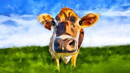 Ce que le fait de m’allonger dans un pré au milieu des vaches m’a appris sur la vie