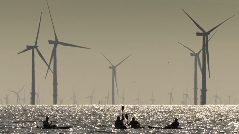 Des kayakistes pagaient dans l'estuaire de la Mersey près du parc éolien offshore de Burbo Bank à Liverpool, au Royaume-Uni, le 4 août 2021. (Christopher Furlong/Getty Images)