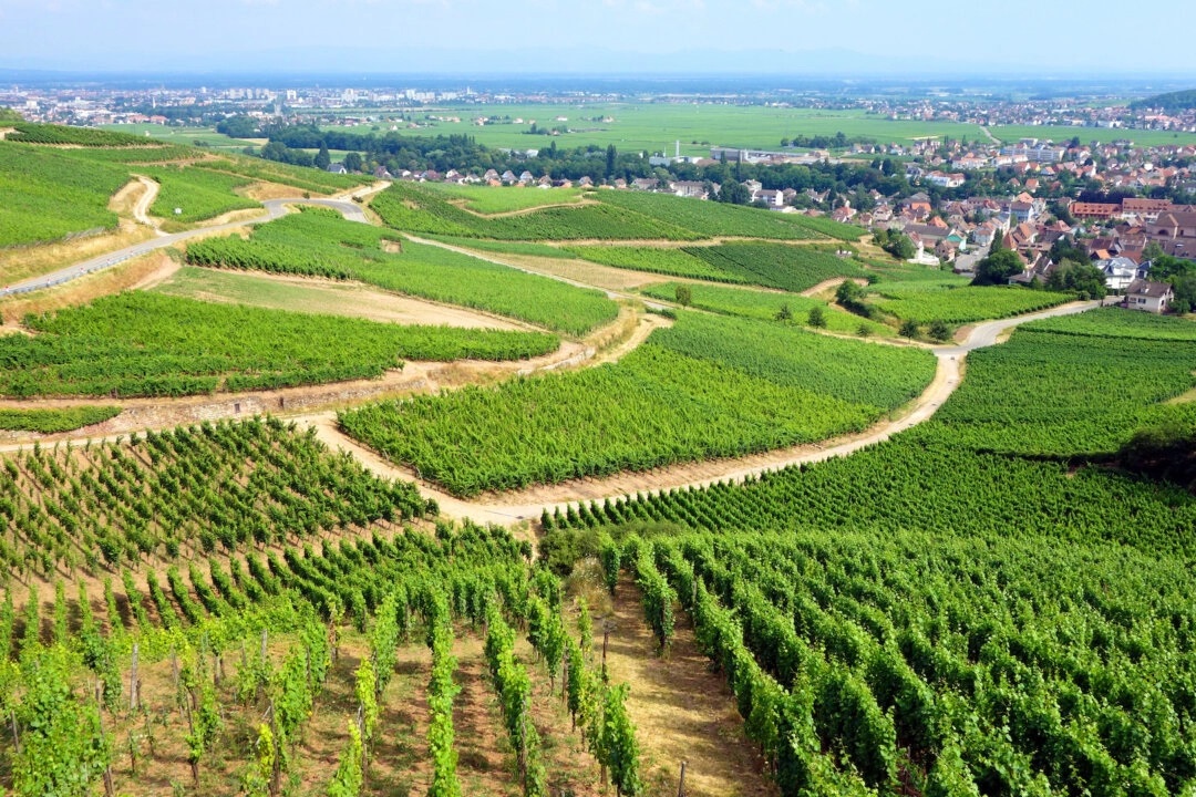 Les saveurs allemandes de l'Alsace