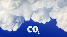 Un expert en énergie nucléaire affirme que le CO2 n’est pas à l’origine de la hausse des températures mondiales