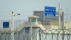 Londres veut se passer des panneaux solaires chinois issus du travail forcé