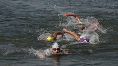 Triathlon à Toulon : un policier municipal de 53 ans succombe à un arrêt cardiaque en pleine épreuve de natation