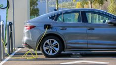 Voitures électriques : la carte grise sera payante à partir du 1er mai