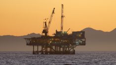 L’administration Trump annonce une expansion majeure des forages offshore, en particulier dans l’Arctique et dans de nouvelles zones côtières