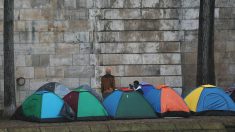 Immigration : la France, pays européen ayant reçu le plus de demandes d’asile en février, une première depuis des années
