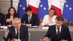 Droits de douane : après la sidération, la riposte et la tempérance
