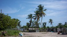 Destination Gabon : nature préservée, tourisme en friche
