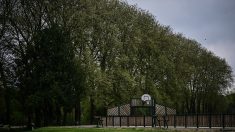 Joggeuse disparue dans la Vienne : enquête pour « enlèvement et séquestration »
