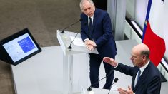 De « l’argent qui est volé aux Français » : le gouvernement compte récupérer 15 milliards d’euros sur la fraude