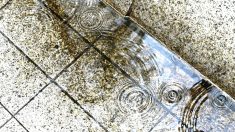 L’eau continue de monter en Dordogne, Gironde et Corrèze, toujours en vigilance orange