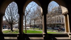 Harvard poursuit l’administration Trump pour le gel de son financement
