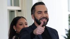 Le Salvador propose d’échanger des expulsés vénézuéliens des États-Unis contre des prisonniers politiques de Maduro