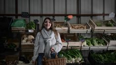 Favoriser l’achat de produits bio pour protéger la femme enceinte et son bébé