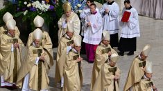 Ces cardinaux  en vue pour le conclave qui élira le prochain pape