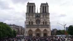 À Notre-Dame de Paris, croyants et touristes choqués et attristés part la mort du pape