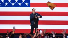 Musk affirme que son rôle au sein du DOGE affecte les actions de Tesla