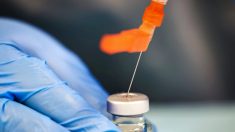 Des conseillers des CDC envisagent de recommander une utilisation plus restreinte des vaccins contre le Covid-19