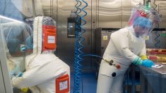 L’administration Trump modifie le site Web consacré au Covid pour affirmer que le virus vient d’un laboratoire chinois