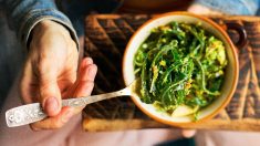 Les algues marines, une source naturelle d’iode et un soutien pour la santé digestive et cardiaque