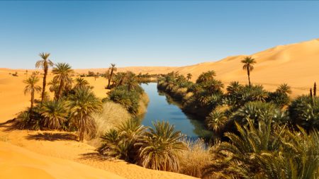 Aucun lien génétique avec les humains actuels : deux momies du Sahara, vieilles de 7000 ans, affolent les archéologues