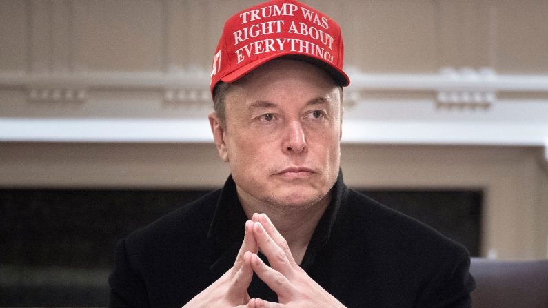 Elon Musk assiste à une réunion du Cabinet dans la salle du Cabinet de la Maison-Blanche à Washington, le 24 mars 2025. (Brendan Smialowski/AFP via Getty Images)