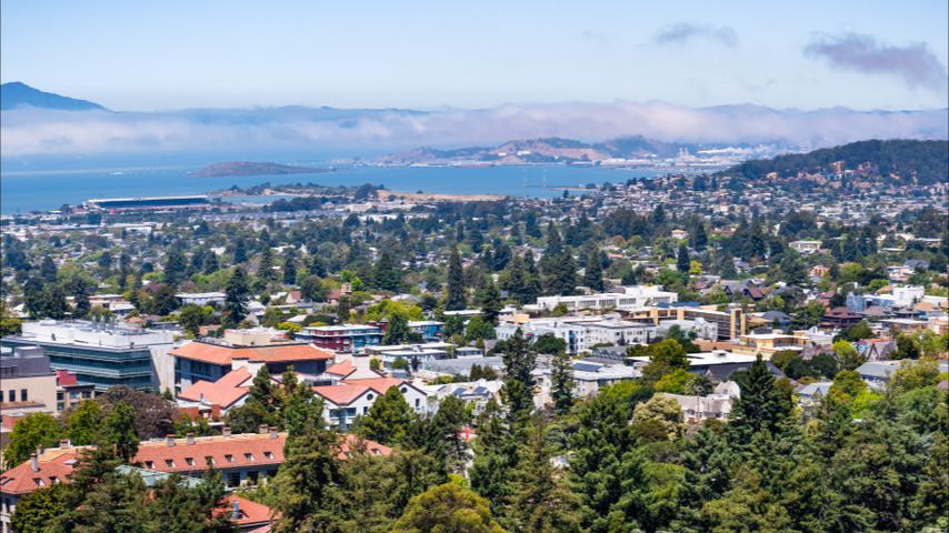 Une ville californienne effrayée par la chute continuelle d'oiseaux depuis plusieurs mois