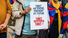 Le musée Guimet accusé de vouloir « effacer l’existence » du Tibet sous les injonctions de Pékin